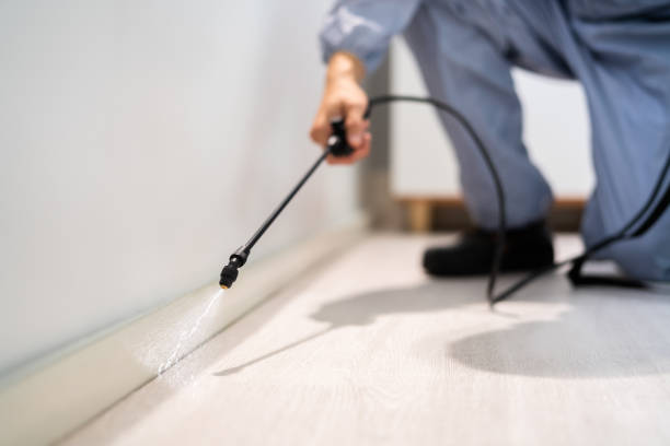 Rodent Entry Point Assessment in Country Club