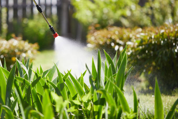 Tamper-Resistant Bait Stations for Rodents in Country Club