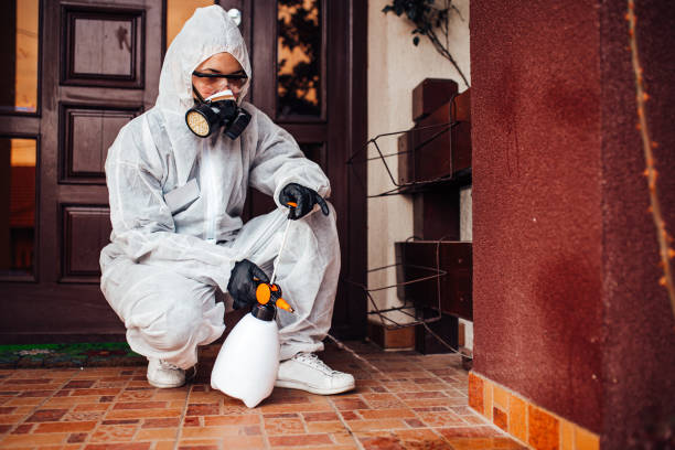 Attic and Crawl Space Rodent Treatment in Country Club